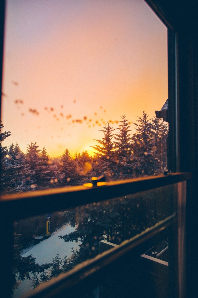 forest, tree, cold temperature, sky, trees, windowpane, plant, cozy, reflection, indoors, nature, beauty in nature, tranquility, cabin, window