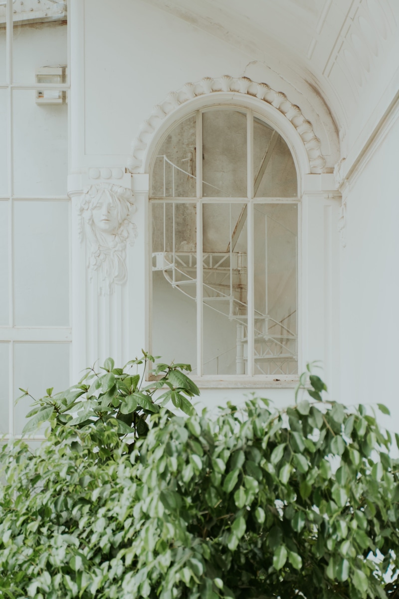 view, front, plant, 5K, white, nature, freshness, building, building exterior, trees, windowpane, no people, leafed, botanical garden, entrance, day, window