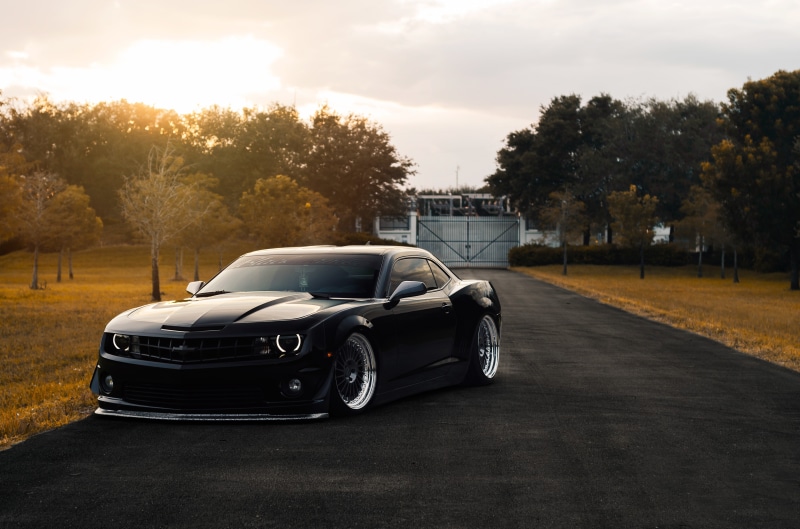 Stance, ZL1, 4K, Black, Muscle, Car, zl, Camaro, Autumn, Front, Chevrolet, Matte