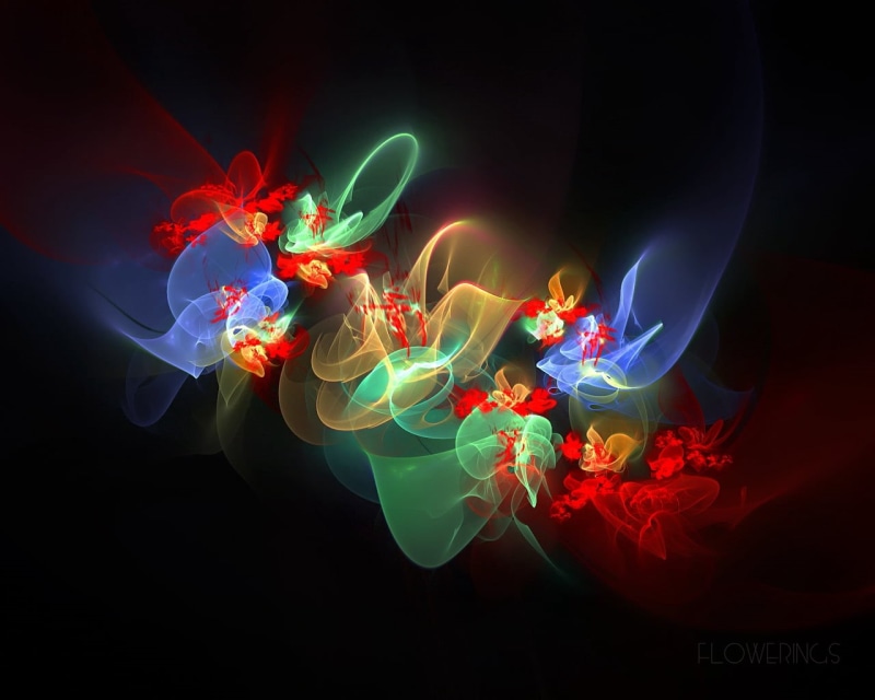 dark, backdrop, glowing, flowers, fractal, light, multicolored, curve, light - Natural Phenomenon, blurred Motion, illustration, elegance, red