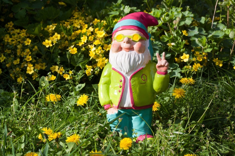 sun, plant, sunglasses, dwarf, lifestyles, nature, three quarter length, colorful, freshness, peace, mood, pink, spring, flower head, field, 4K, oblique