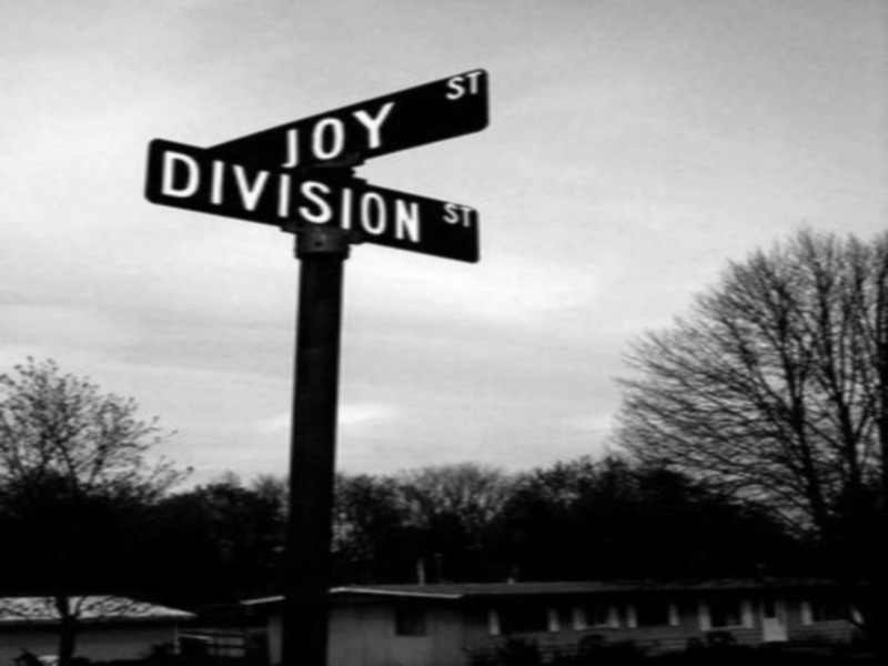 focus on foreground, western script, no people, tree, nature, communication, text, Joy Division, sign, direction, road sign, guidance, road, plant, sky