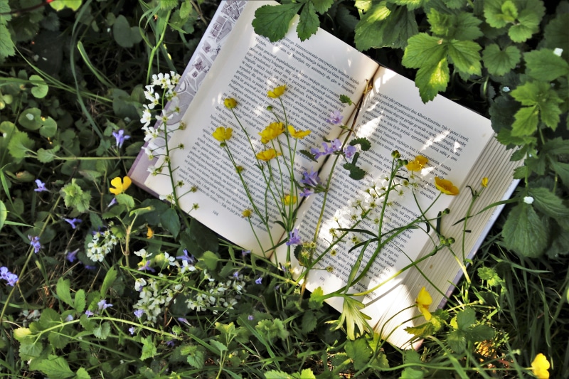 at the court of, literature, old book, green color, flower, plant, grass, knowledge, in the grass, cute, vacations, the environment, pleasure, library