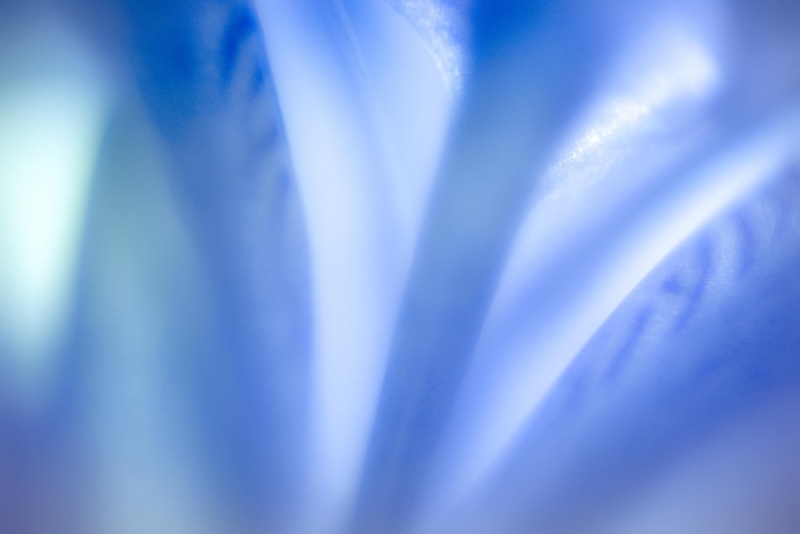 quiet, serene, blurred, 1080P, macro, pleasure, photography, gray, Lightness, pattern, backgrounds, Rêve, abstract, NIKKOR, couleur, blue and gray, lumière