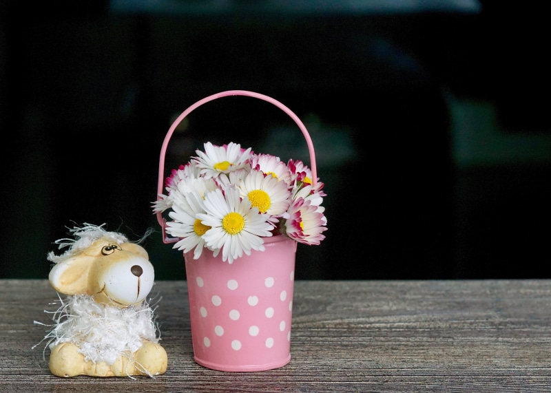 birthday, romantic, close-up, pleasure, close, feelings, happy, toy, flowers, mood, nature, sweet, happy birthday, focus on foreground, greeting card, photography