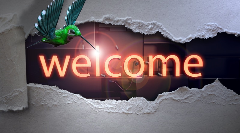 illuminated, shield, 2K, night, no people, text, sign, frozen, nature, assembly, western script, typography, graphic, breakthrough, welcome, liberation
