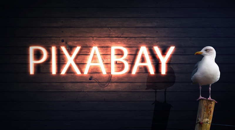 shield, wall - building feature, animal, letters, white color, signage, lettering, bright, near, neon font, post, animal themes, decoration, background
