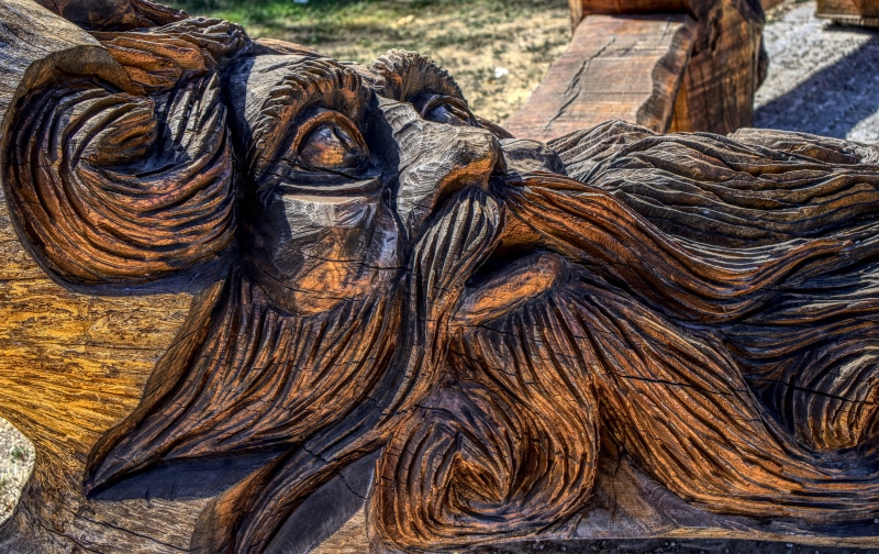 brown, craft, representation, high dynamic range, model, close-up, outdoors, animals in the wild, art, wood - material, statue, sea god, decoration, mammal