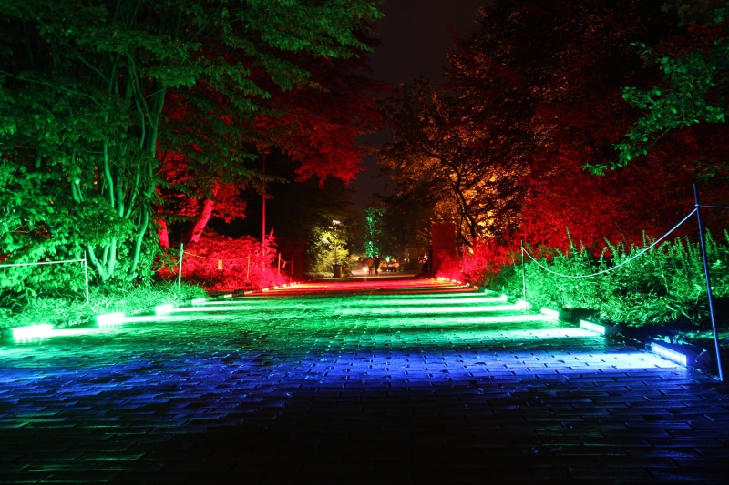 nature, no people, color, frame, yellow, dark, park, reflection, tree, Light Art, beauty in nature, direction, red, template, night, blue, Away, art, tungsten