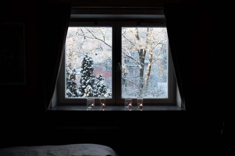 bare tree, fir, brown, dark, blossom, domestic room, wheel, flower, machine, architecture, cold temperature, furniture, indoors, nature, picture window