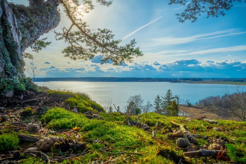 nature, water, landscape, outdoors, land, day, Sweden, river, sunlight, beach, non-urban scene, grass, trees, scenics - nature, idyllic, tranquil scene