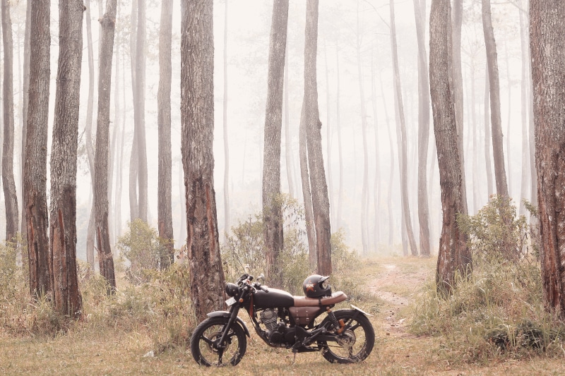 brown, road, spoke, building, tracker, vehicle, tree trunk, 5K, travel, tranquility, engine, day, motor, black, parked, tire, scenics - nature, nature