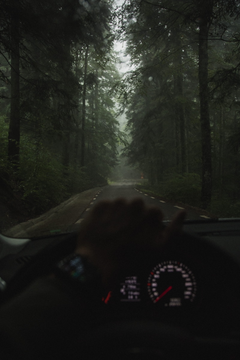 taking, people, people Traveling, land Vehicle, one Person, roadtrip, fog, photo, street, overcast, stormy, friend, night drive, drive, outdoors, forest view