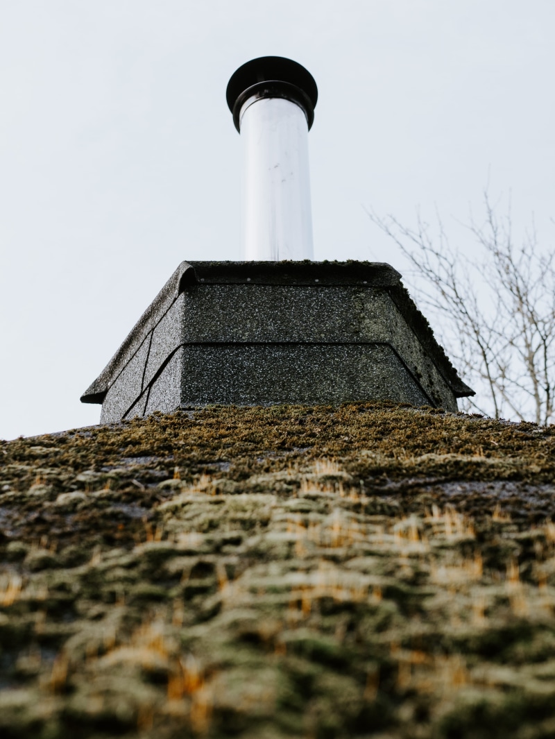 day, nature, roof, silver, building exterior, garden, brown, lichen, trees, lighthouse, outdoors, roof tile, window, building, moss, leaves, hideaway, black