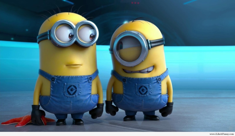 cartoon, minions, 1080P, funny