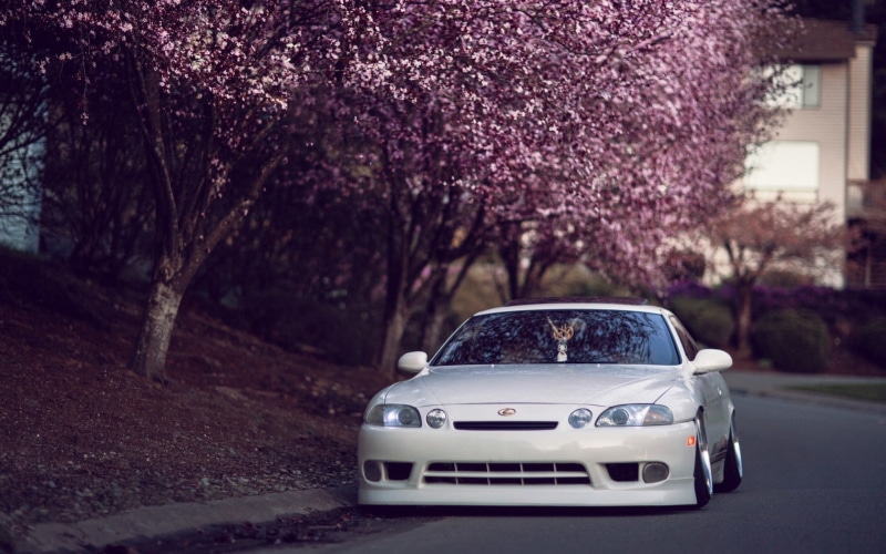 cherry, sedan, 720P, Lexus, Japan, sc 400, sc, street, white, car, Tuning, trees, hellaflash