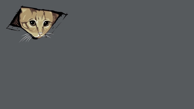 1080P, KITTENS, simplistic, hd, Abstract, cat, ceiling cat, cats, simple, animals, art, ceiling