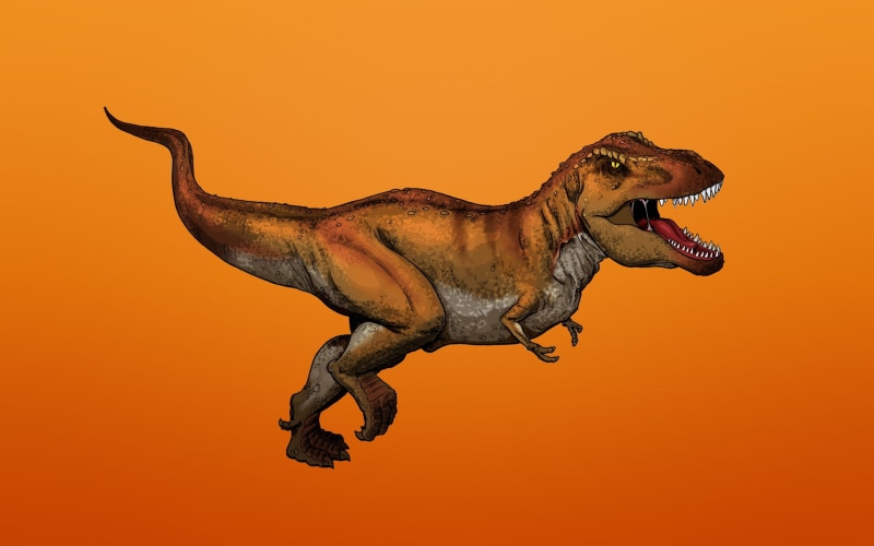 dinosaur, 1080P, tyrannosaurus, rex, tyrannosaurus. t-rex