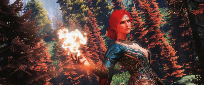 portrait, three quarter length, illustration, hairstyle, women, adult, casual clothing, plant, young women, real people, video games, The Witcher, tree