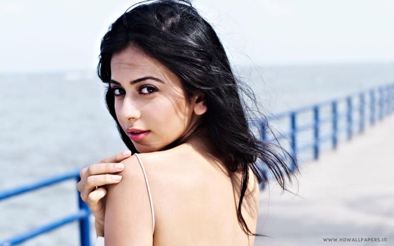rakul, preet, singh, 1080P