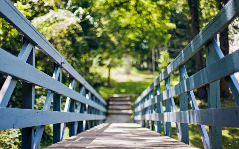 fullscreen, foliage, s, widescreen, metal, rail, day, grey, tree, bridge, summer, background, sun, 1080P, nature, trees, bokeh, fence