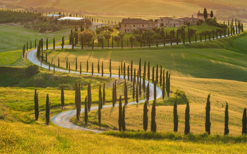 landscape, Tuscan, trees, 2K, olive, house, Beautiful Nature, olive trees, green field, sunlight, Italy