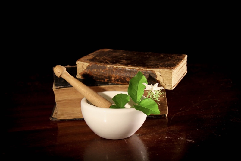 no people, food and drink, alchemy, ceramic, white, hardbound, 5K, portion, basil, plant part, stick, still life, food, table, wellbeing, pharmacy, leaf