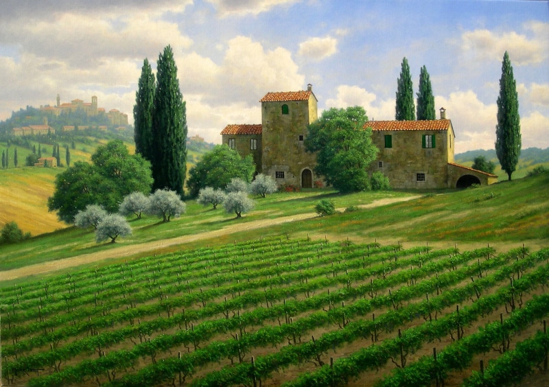 mountain, pienza, 1080P, field, summer, idyllic, day, vineyard, cypress Tree, chianti Region, non-Urban Scene, famous Place, church, meadow, hill, rural Scene