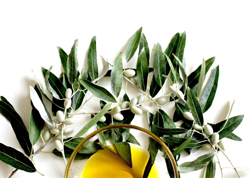 italy, oil, close-up, olive oil, petal, white, mediterranean, market, eat, growth, no people, plant part, flowering plant, white background, green olives