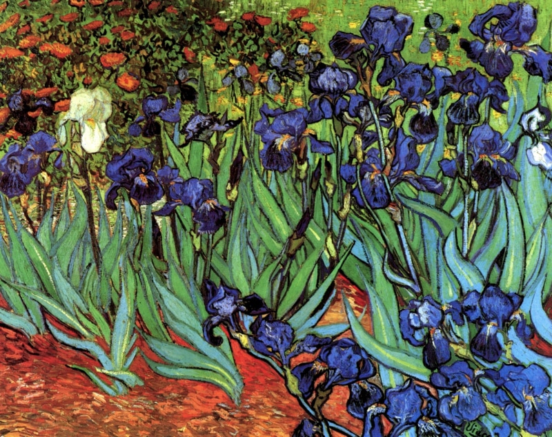 2K, different colors, Irises, Vincent van Gogh