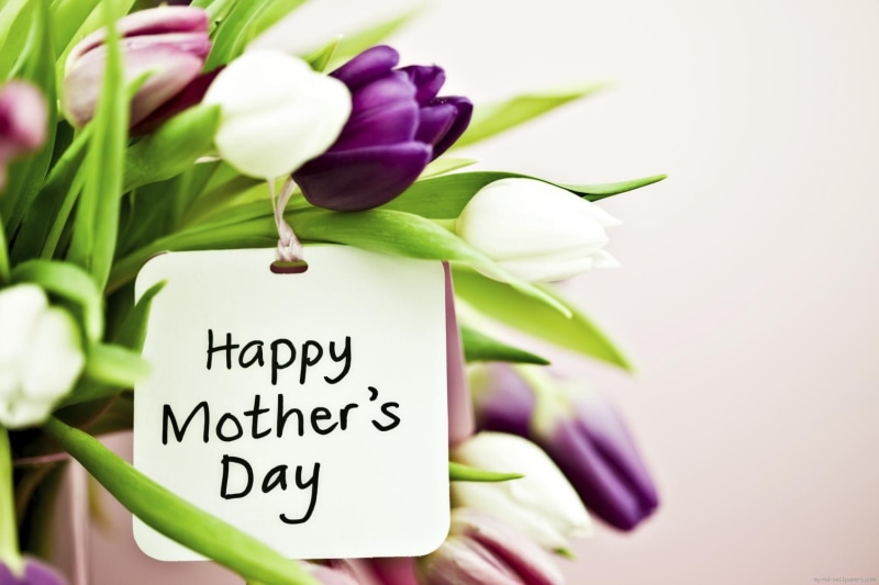 day, happy, tulip, purple, mother day, flower, s, mom, mother, 720P, petal, holidays