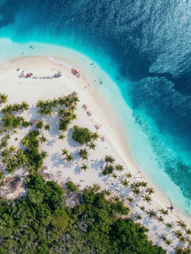 holiday, plant, travel, aerial view, tree, water, sand, 2K, top view, scenics - nature, aquatic sport, sea, underwater, people, beauty in nature, sport