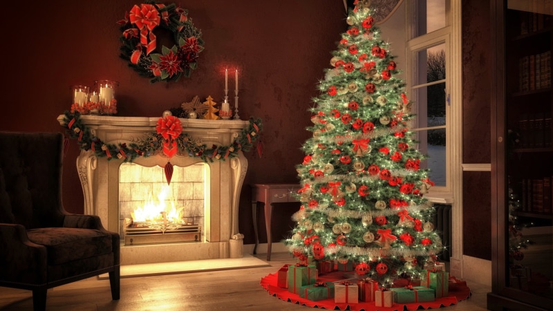 christmas decoration, tree, Christmas ornaments , celebration, holiday, Christmas, decoration, pine trees, indoors, green, ornate, red, plant, ornament