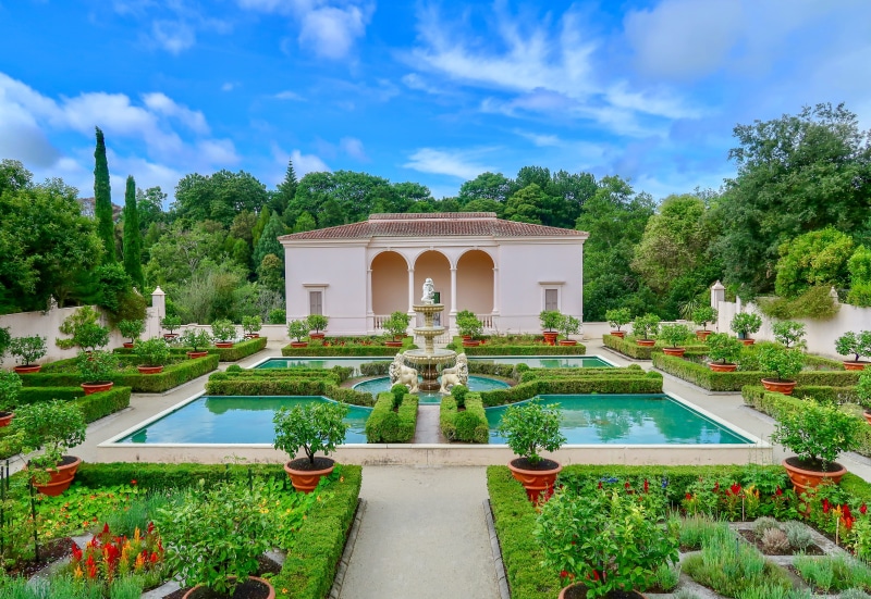 lawn, growth, tree, built structure, hamilton, fountain, water, plant, house, architecture, no people, ornamental garden, zealand, day, pool, fence, swimming pool