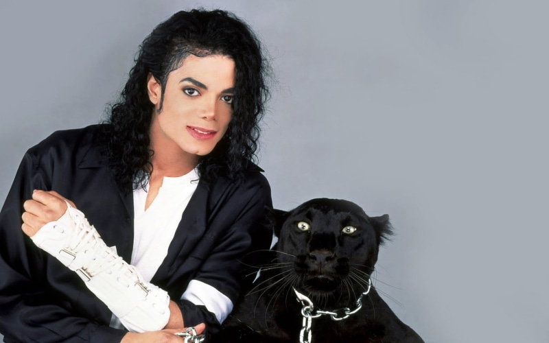 one animal, long, vertebrate, sleeved, domestic, shirt, indoors, pets, pop music, black, singer, mammal, women, domestic animals, adult, pet owner, Michael Jackson