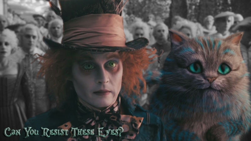 Mad Hatter, girls, pet owner, one animal, portrait, child, headshot, pets, cat, females, front view, movies, domestic, looking at camera, women, Cheshire Cat