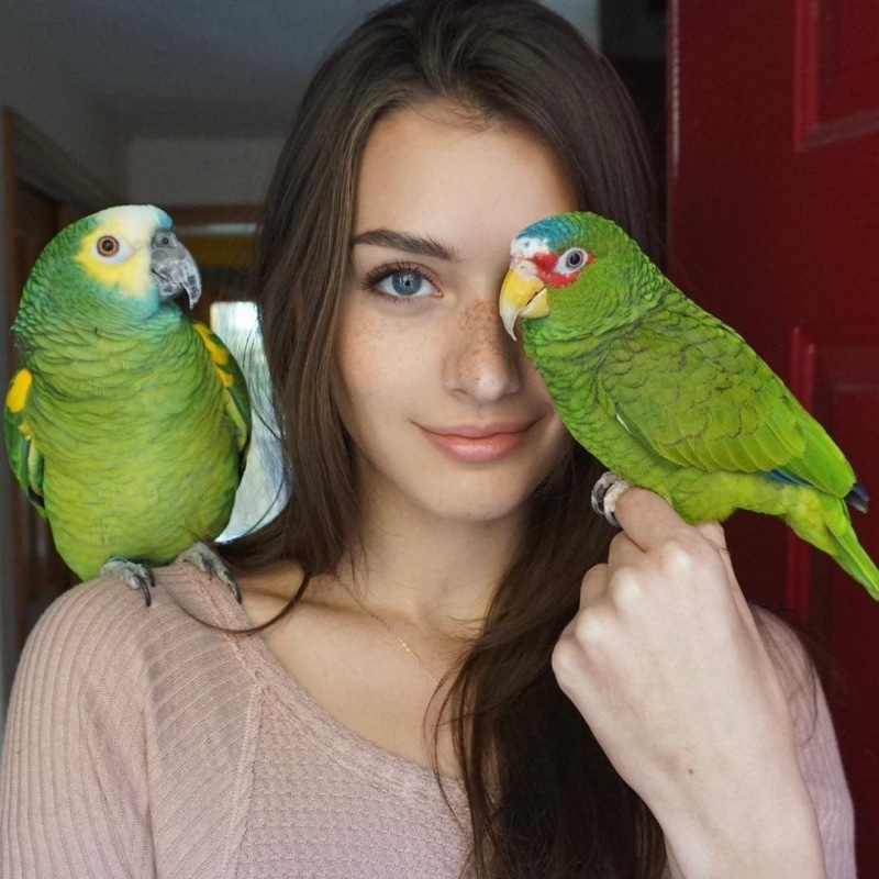 beautiful woman, brunette, tropical bird, women, model, looking at camera, shoulder, vertebrate, birds, blue eyes, pet owner, looking at viewer, one animal