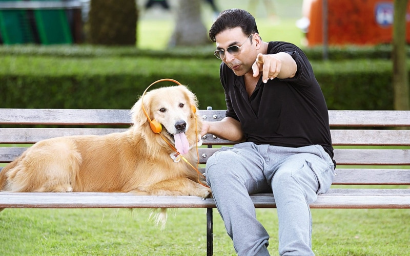 young adult, domestic, black, positive emotion, Movies, one animal, adult, s, neck, pets, grass, 2014, love, akshay kumar, stills, 1080P, bench, emotion