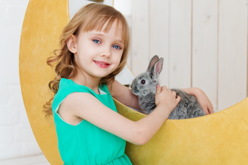 4K, portrait, one animal, holding, baby, flowers, pet owner, innocence, animal, animal themes, hare, domestic animals, rabbit, girl, child, girls, offspring