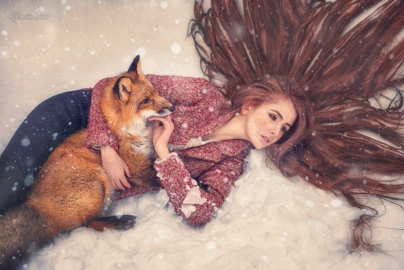 friendship, pet owner, canine, women, dog, long hair, snow, mammal, females, 720P, one animal, domestic animals, winter, coats, fox, adult, Marina Semyokhina