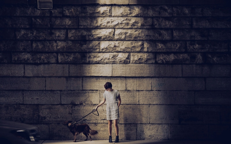 casual clothing, leash, real people, blue, dog, one animal, animal themes, street, 4K, wiebe, matthew, pet owner, full length, pets, built structure, canine