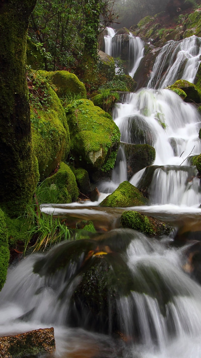 photography, cover, moss, waterfall, stream, 1080P, rock, cellphone, nature, water
