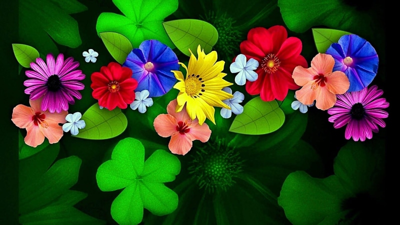 design, wildflower, flora, colorful, 1080P, colors, art, petal, plant, leaf, flower, spring