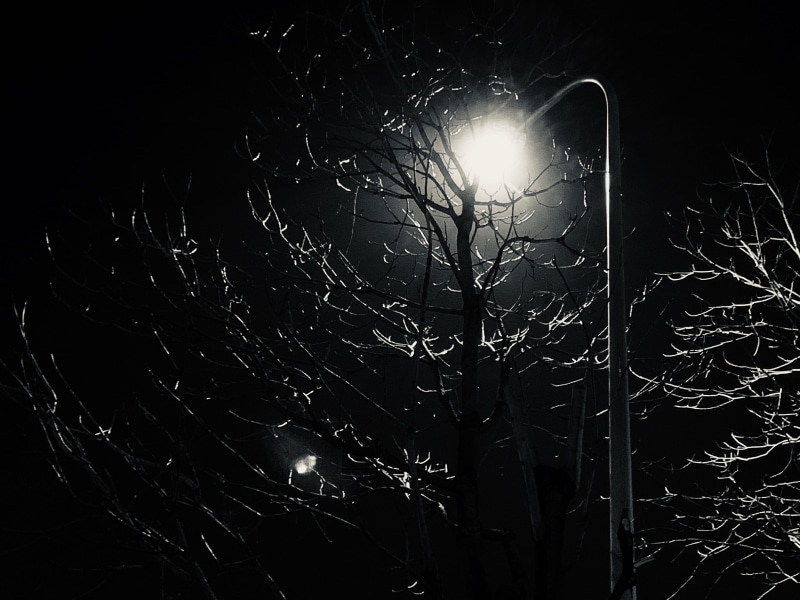 outdoors, no people, he qiao li zhi, illuminated, growth, trees, glowing, 4K, nature, astronomy, silhouette, outer space, moon, sky, lighting equipment