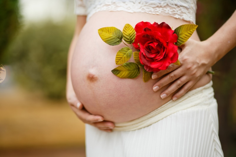 human fertility, human body part, females, holding, human hand, red, flower arrangement, body part, woman, hand, outdoors, white, beginnings, flower, people
