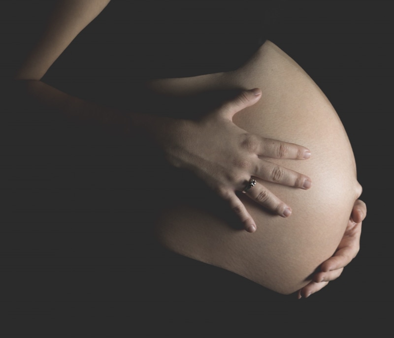 future mom, bebe, pregnant, women, blessing, holding, human body part, hope - concept, studio shot, 2K, mama, beginnings, panza, happy, human hand, maternal