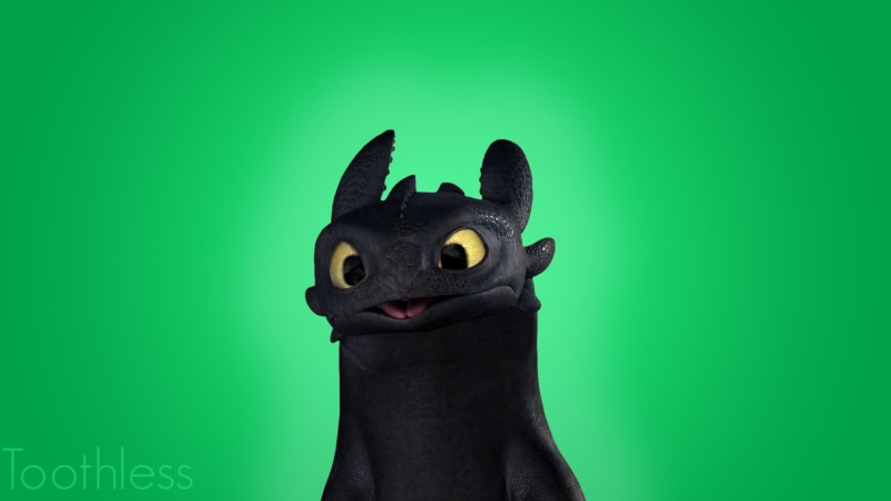 px, How to Train Your Dragon, How To Train Your Dragon 2, dragon, alyssa, 1080P, art, x, people, 1920x1080 px, hd, toothless, branch, train