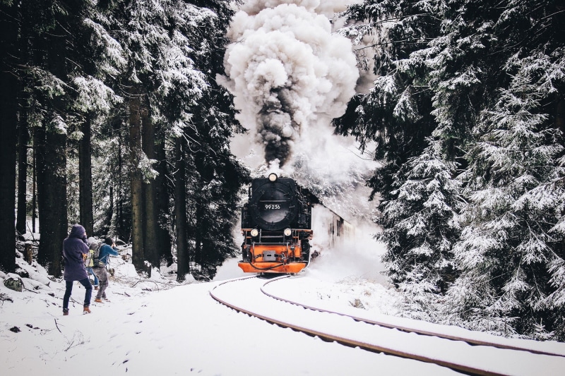 cold temperature, tree, black, land, day, pollution, steam train, rail transportation, winter, nature, 1080P, train - vehicle, real people, vehicle, white color