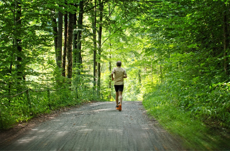 athlete, women, green, trees, growth, middle, relaxation Exercise, woodland, Sport, plant, jogging, bless you, people, rear view, leisure activity, man