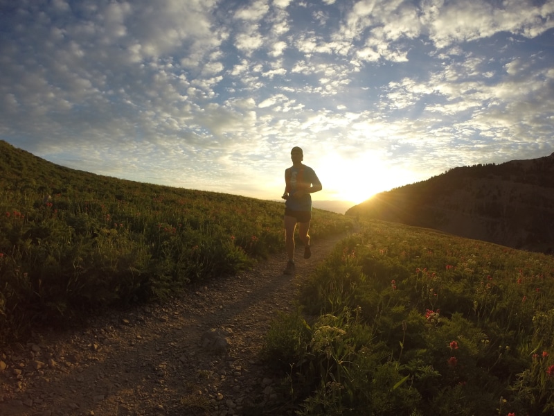 grass, mid adult, sport, cloud - sky, sky, landscape, scenics - nature, Morning, lens flare, beauty in nature, full length, athlete, only men, Runner, Sunrise